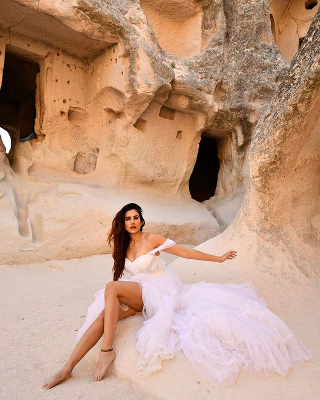 Staggering Looks Of Sonnalli Seygall In Leopard Printed Top